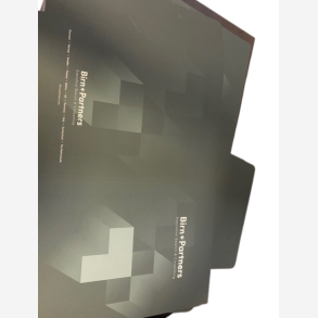 Green BP folder for dossiers 