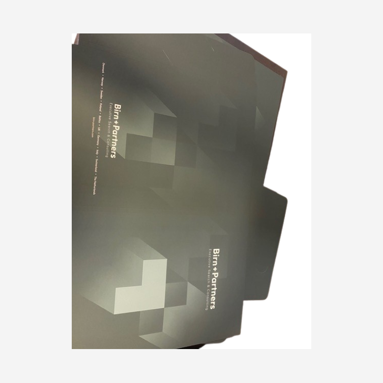 Green BP folder for dossiers 