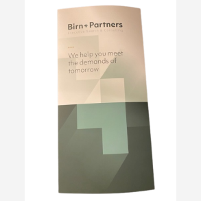 3-leaf brochure Birn+Partners