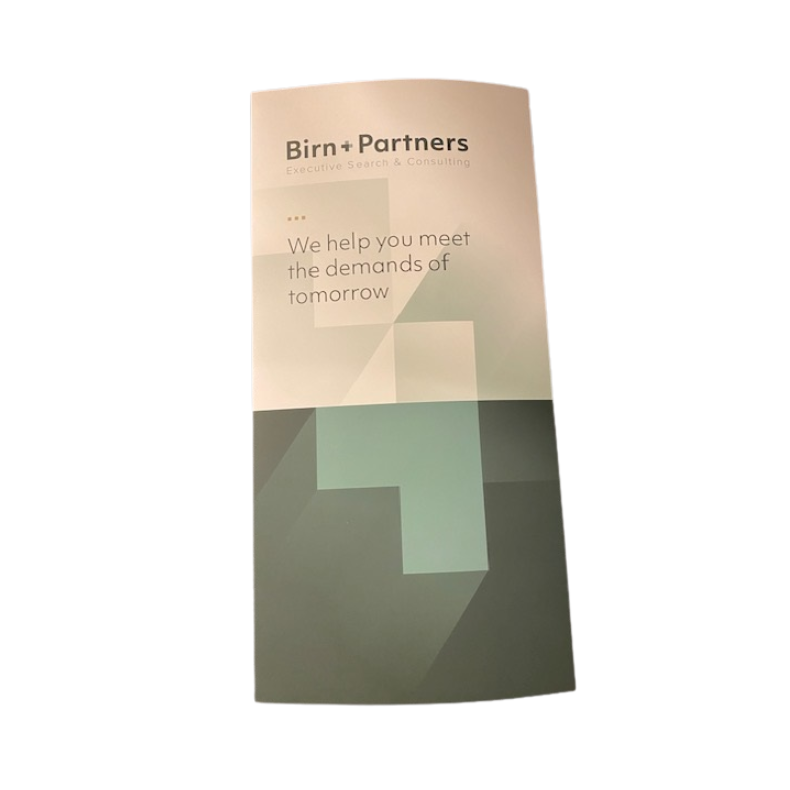 3-leaf brochure Birn+Partners