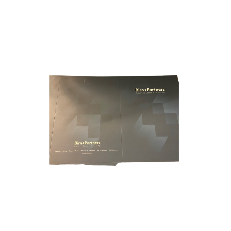 Blue Board Services folder for dossiers 